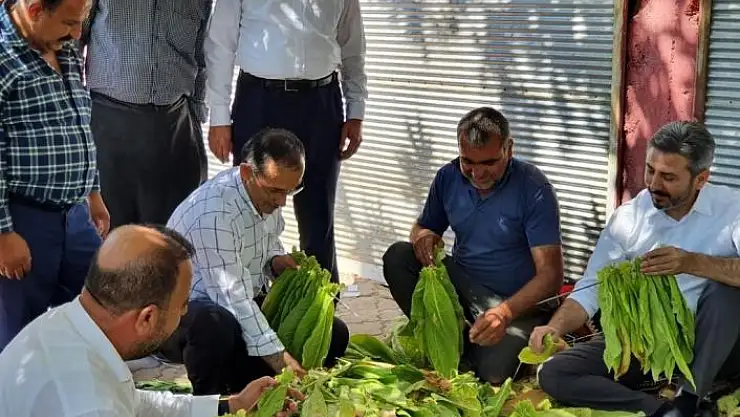 'AK Parti heyeti Kahta´nın merkez ve köylerini gezdi'