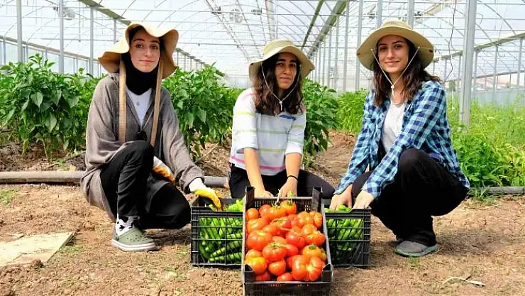 'Akademik ürünlerin geliri öğrencilere burs oldu'