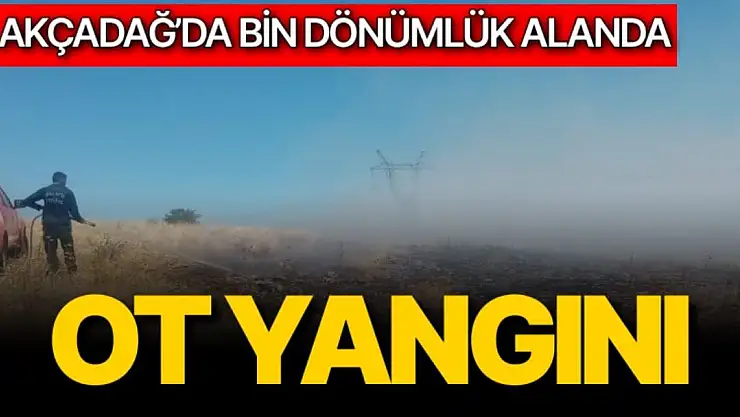 Akçadağ´da bin dönümlük alanda ot yangını
