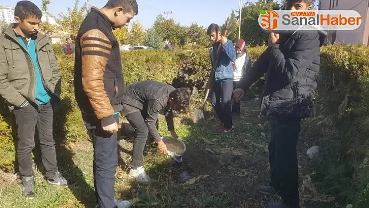 Akçadağ'da öğrenciler fidan dikti