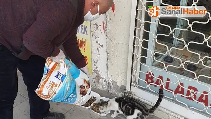 Akçadağ'da sokak hayvanları unutulmadı