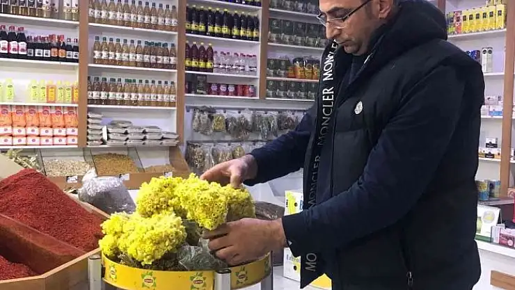 'Akdeniz´deki yangınlar bitki çaylarının fiyatını artırdı'