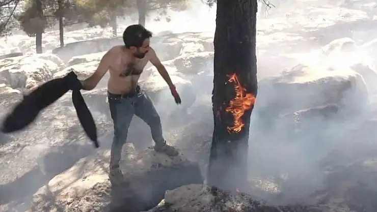'Alev alev yanan ağacı tişörtüyle söndürdü'