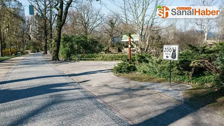 Almanya'da korona nedeniyle ölü sayısı bin 158'e çıktı