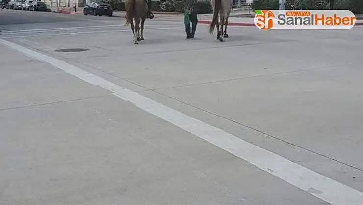 Amerikan polisinden ırkçı uygulama