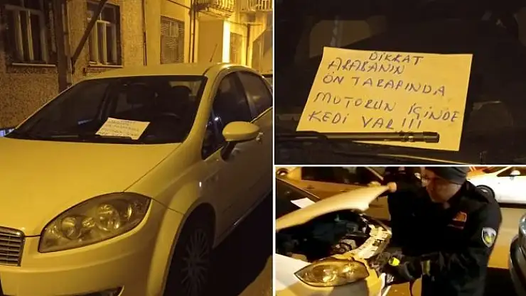 'Aracın motoruna sıkışan kedi itfaiye ekipleri tarafından kurtarıldı'