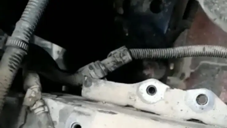 'Aracın motoruna sıkışan yavru kedi, 2 saat süren çalışma ile çıkartıldı'
