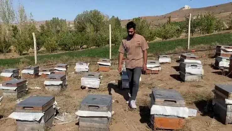'Arılara fısıldayan adam, yaptığıyla ağızları açık bıraktı'