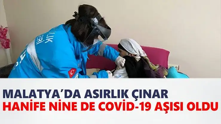Asırlık çınar Hanife Nine de Covid-19 aşısı oldu