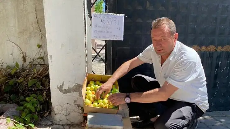 'Askıda kayısıya yoğun ilgi'