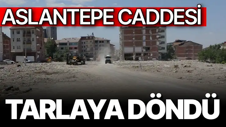 Aslantepe Caddesi tarlaya döndü