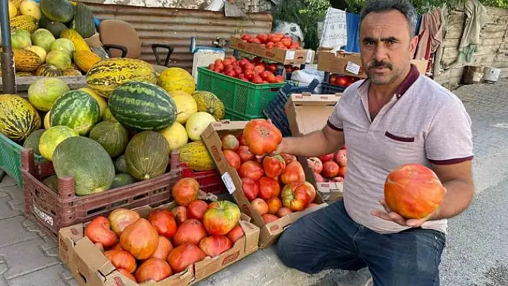 'Ata tohumundan üretilen 1 kiloluk domates ele avuca sığmıyor'