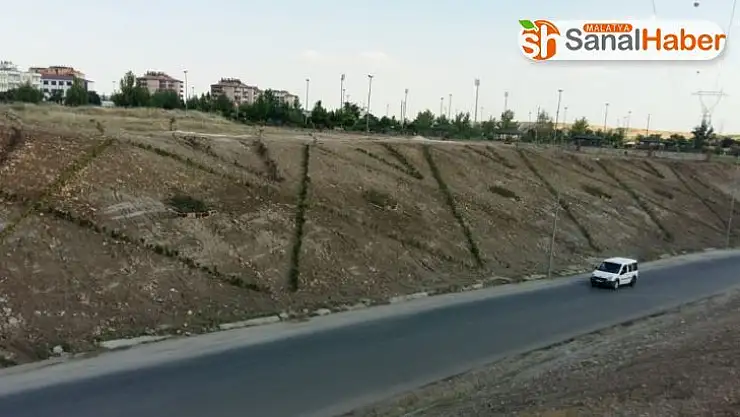 Atatürk Bulvarında peyzaj düzenlemesi