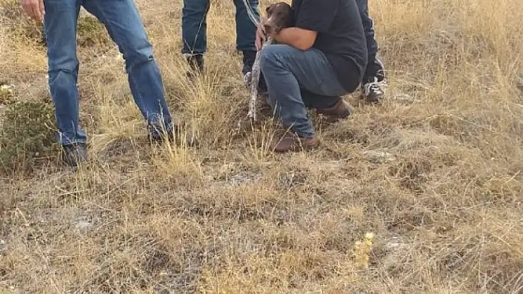 'Avcılar terk etti, belediye sahip çıktı'