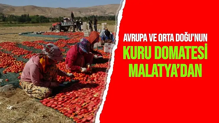 Avrupa ve Orta Doğu'nun  kuru domatesi Malatya´dan