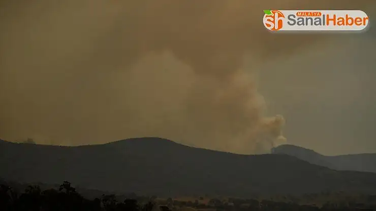 Avustralya'nın başkenti Canberra'da acil durum