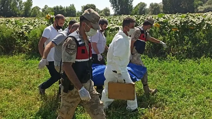 'Ayçiçeği tarlasında cansız bedeni bulunan engelli tabanca ile vurulmuş'