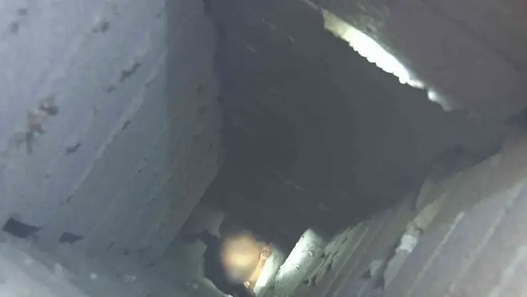 'Bacadan binaya girdi, girdiği yerde sıkışınca yardımına itfaiye ekipleri yetişti'