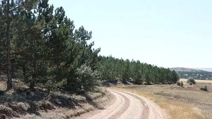 'Bakan Pakdemirli, 50 yıllık değişimi paylaştı'