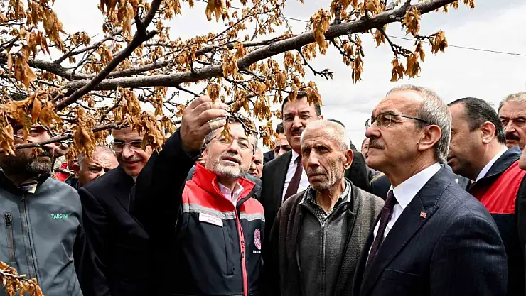 Don zararı görülen bölgelerde tüm üreticilere destek sağlanacak
