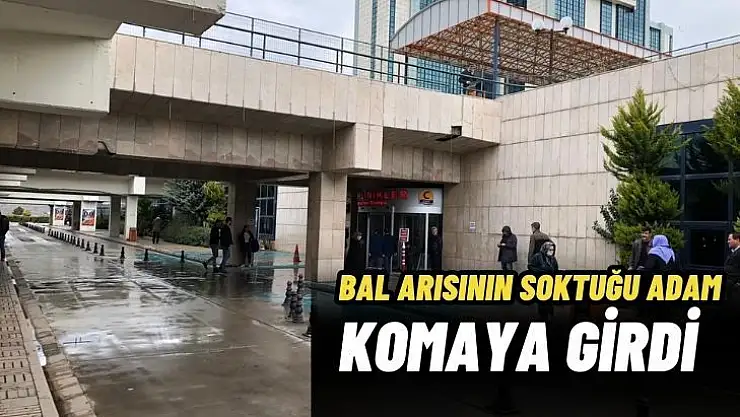 Bal arısının soktuğu adam komaya girdi