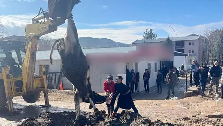 'Banka müdürünün tayini çıktı diye tosun kestiler'