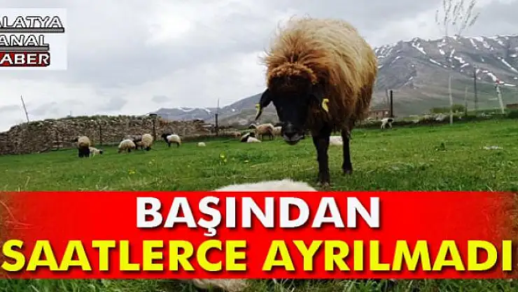 BAŞINDAN SAATLERCE AYRILMADI