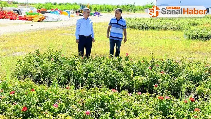 Adı gibi yeşil olması için hummalı çalışma