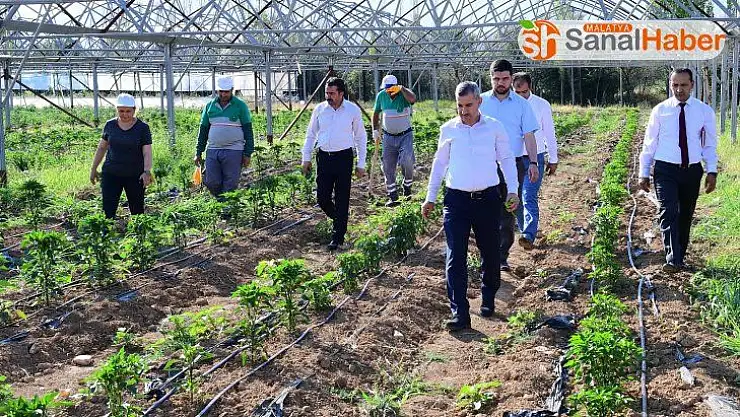 Başkan Çınar'dan tarıma destek