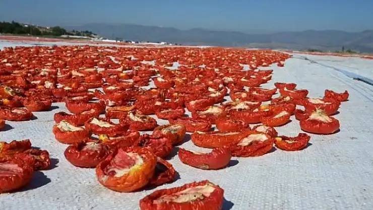 'Başkan Okumuş, Türkoğlu´nun lezzetlerini paylaştı'