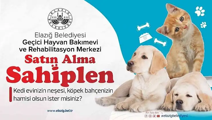 'Başkan Şerifoğulları, ''Şehrimizde yaşayan her canlının huzurunu tesis etmek bizlerin en asli görevidir'''