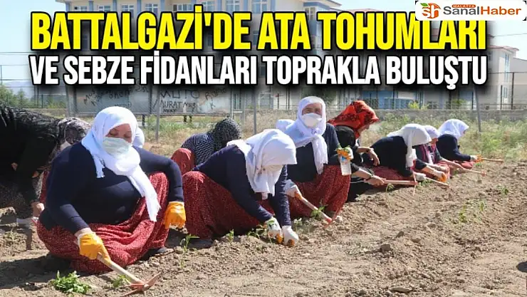 Battalgazi'de Ata tohumları ve sebze fidanları toprakla buluştu