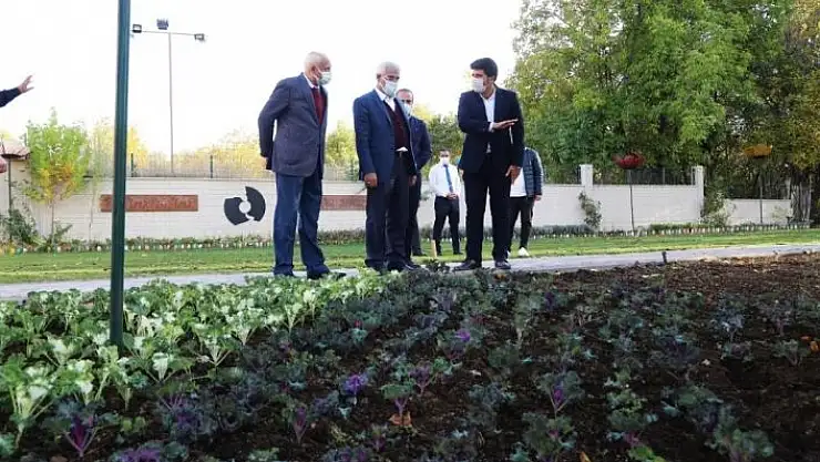 'Battalgazi´ye 25 bin kök süs bitkisi dikiliyor'