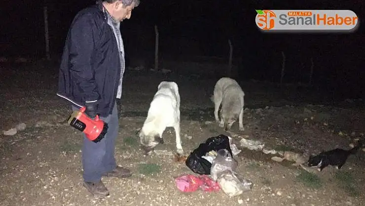 Bayat ekmekler sokak hayvanlarını besledi