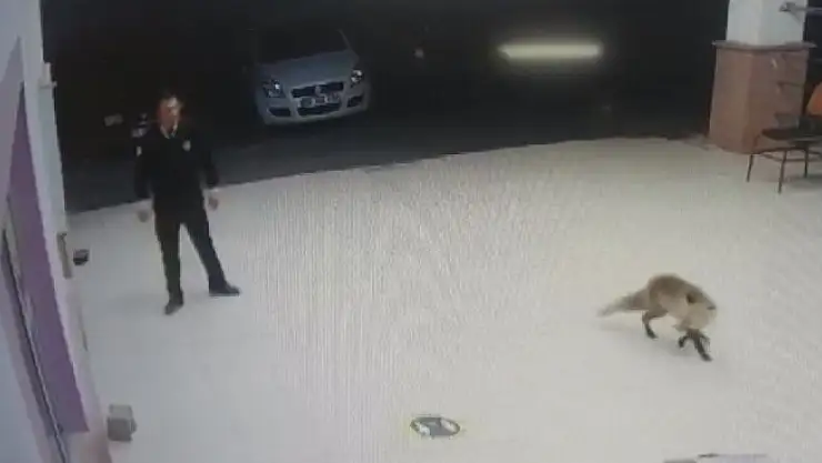 '´Besle tilkiyi, çalsın anahtarını´'