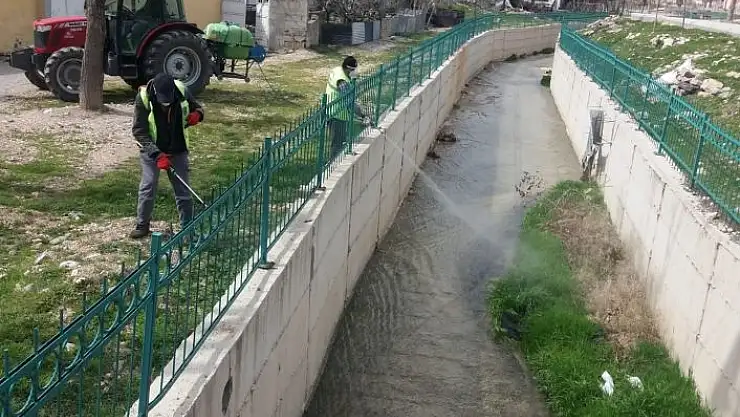 'Besni´de haşere ile mücadele başladı'