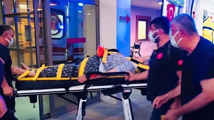 'Besni´de incir ağacından düşen kadın yaralandı'