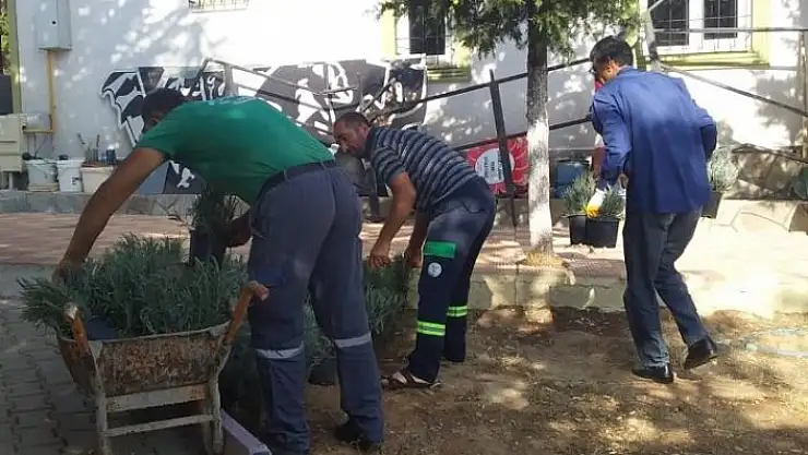 'Besni´de lavanta fidanları toprakla buluşacak'