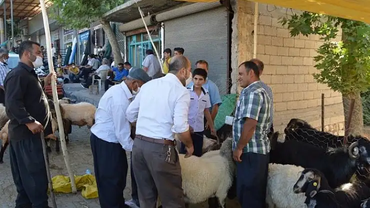 'Besni hayvan pazarında satışlar devam ediyor'
