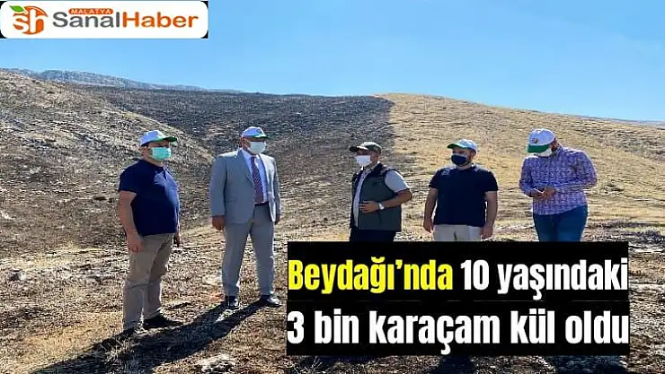Beydağı´nda 10 yaşındaki 3 bin karaçam kül oldu