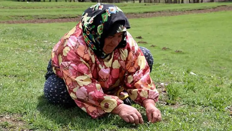 'Bin bir zahmetle tek tek toplanıyor, faydası saymakla bitmiyor'