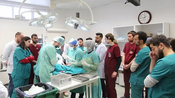 'Bingöl´den getirilen K9 cinsi köpek Sivas´ta ameliyat edildi'