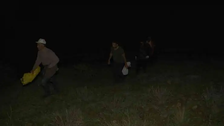 'Bu bitkiyi toplamak için gökyüzü aydınlanmadan yola çıkıyorlar'