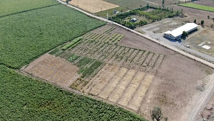 'Bu da bilim tarlası, çiftçinin yüzünü güldürecek'