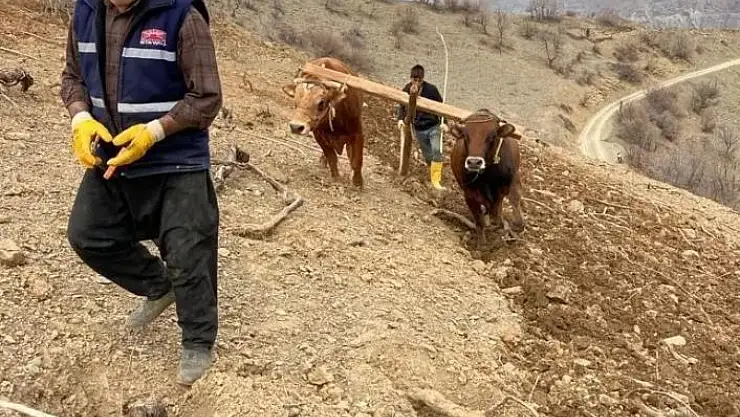 'Bu köyde hala ''kara saban'' kullanılıyor'