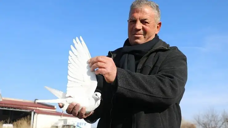 'Bu kuşlara fiyat biçilemiyor, tescil için gün sayıyorlar'