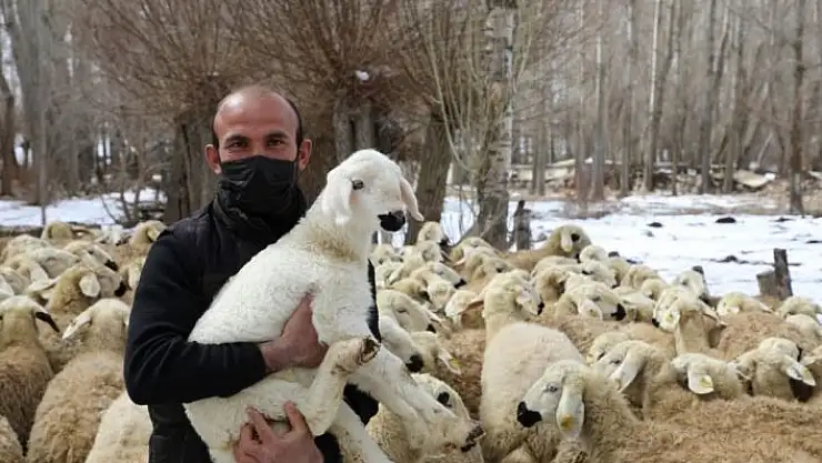 'Bu projeyle çiftçiler 22 bin hayvana kavuştu'