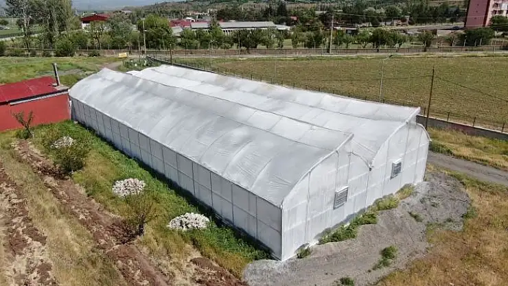 'Bu sera hem öğretiyor, hem de ata tohumu çoğaltıyor'