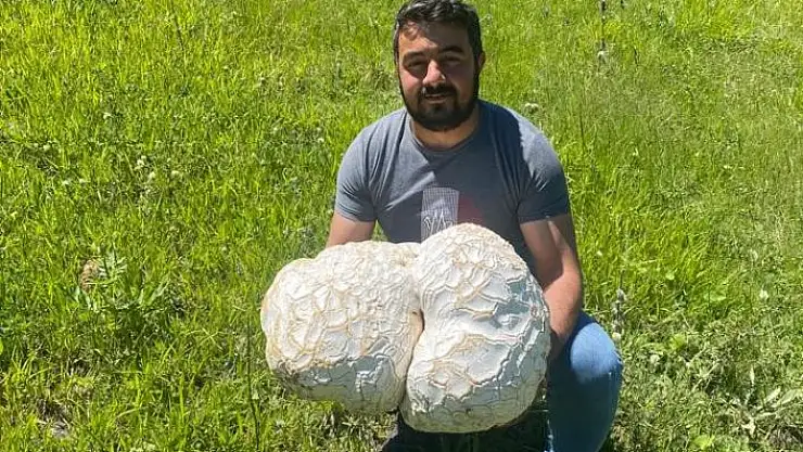 'Bulduğunda kaya sandı, ne olduğunu anlayınca şok oldu'