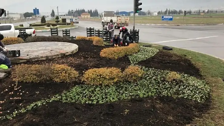 'Büyükşehirden ağaç bakımı, dezenfekte ve yol yapım çalışmaları'